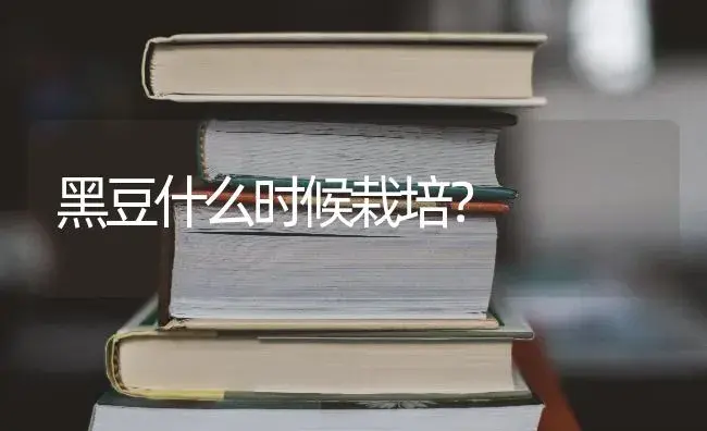 黑豆什么时候栽培？ | 蔬菜种植