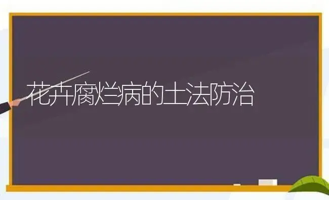 花卉腐烂病的土法防治 | 植物病虫害