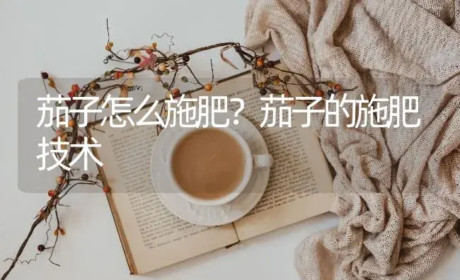 茄子怎么施肥？茄子的施肥技术 | 蔬菜种植