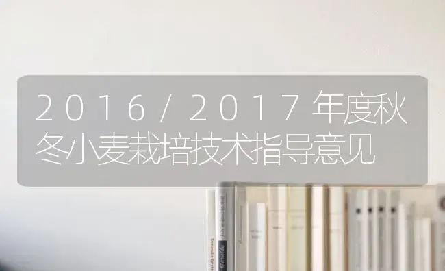 2016/2017年度秋冬小麦栽培技术指导意见 | 蔬菜种植