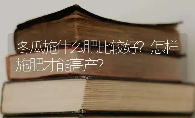 冬瓜施什么肥比较好？怎样施肥才能高产？ | 蔬菜种植