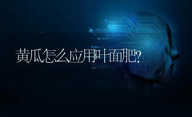 黄瓜怎么应用叶面肥？ | 蔬菜种植