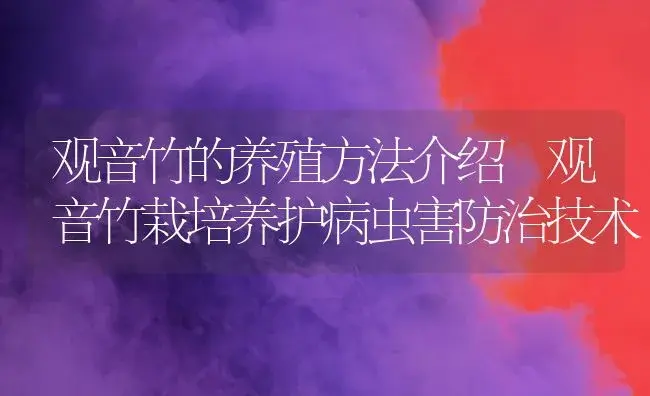 观音竹的养殖方法介绍 观音竹栽培养护病虫害防治技术 | 植物病虫害