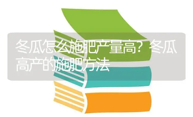 冬瓜怎么施肥产量高？冬瓜高产的施肥方法 | 蔬菜种植