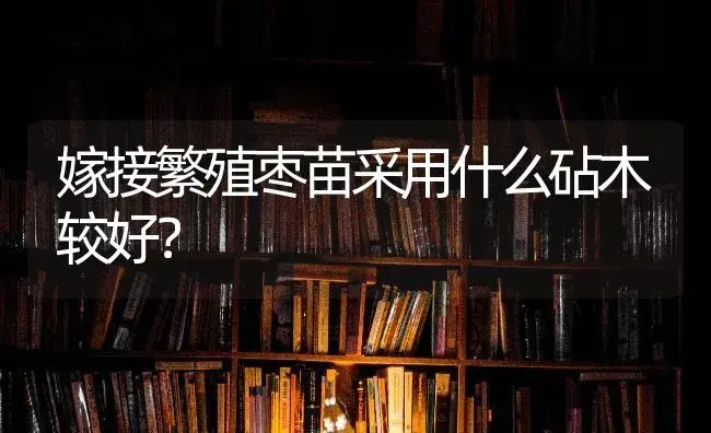 嫁接繁殖枣苗采用什么砧木较好？ | 蔬菜种植