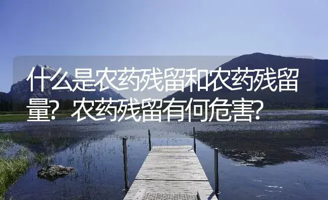 什么是农药残留和农药残留量?农药残留有何危害? | 植物病虫害