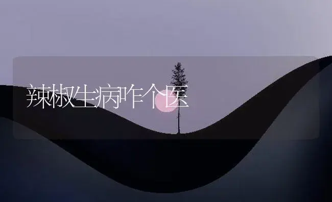 无籽西瓜嫁接枯萎病的发生原因与预防 | 植物病虫害