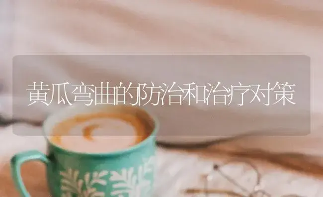 黄瓜弯曲的防治和治疗对策 | 蔬菜种植