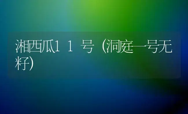 甜樱桃的需肥特性及施肥技术 | 植物肥料