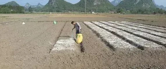 肥料能大量储存吗，多久会失效，看看这些就知道了