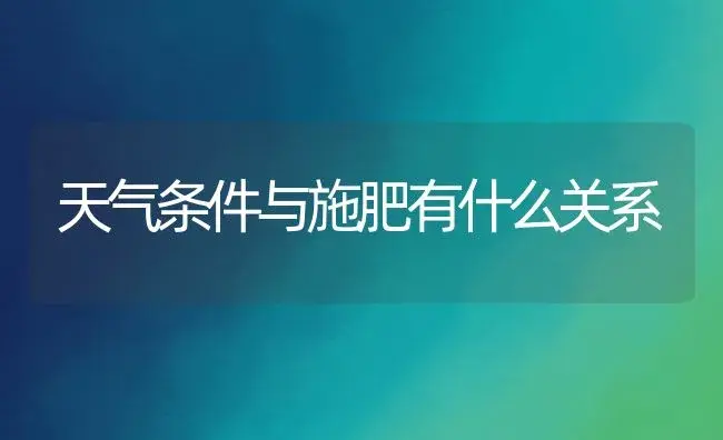 天气条件与施肥有什么关系 | 植物肥料