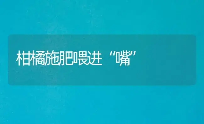 柑橘施肥喂进“嘴” | 植物肥料