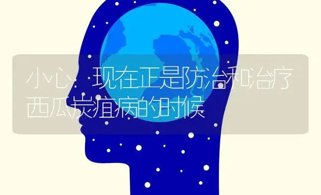 小心：现在正是防治和治疗西瓜炭疽病的时候 | 蔬菜种植