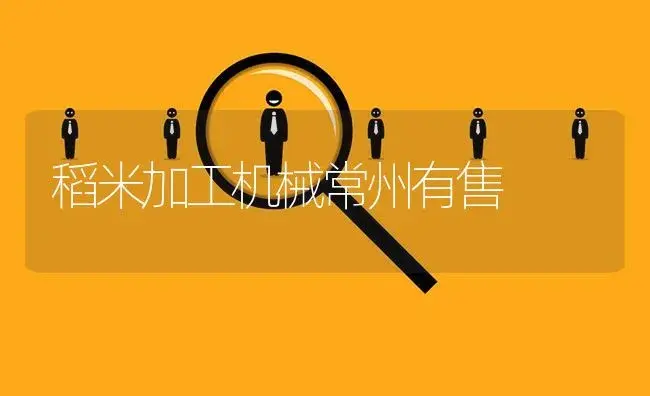 稻米加工机械常州有售 | 农资农机