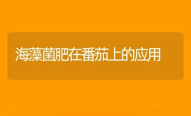 施速效氮肥可防治玉米大斑病 | 植物肥料