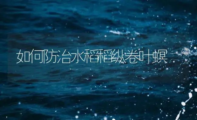 如何防治水稻稻纵卷叶螟 | 植物病虫害