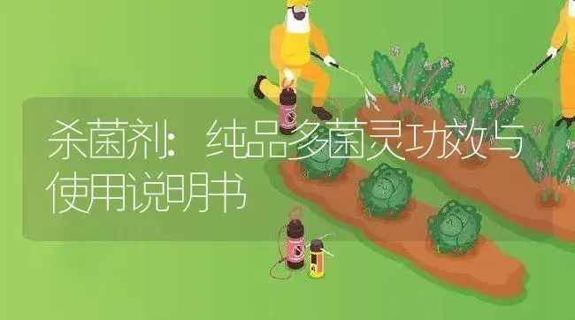 杀菌剂：纯品多菌灵 | 适用防治对象及农作物使用方法说明书 | 植物农药