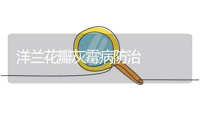 洋兰花瓣灰霉病防治 | 植物病虫害