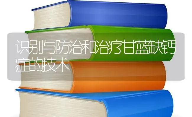 识别与防治和治疗甘蓝缺钙症的技术 | 蔬菜种植