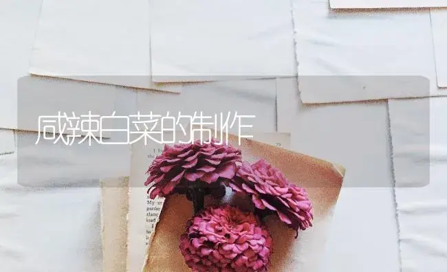 咸辣白菜的制作 | 蔬菜种植