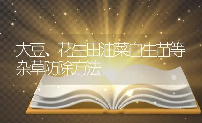 大豆、花生田油菜自生苗等杂草防除方法 | 植物病虫害