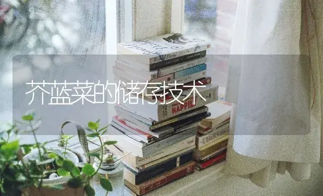 芥蓝菜的储存技术 | 蔬菜种植