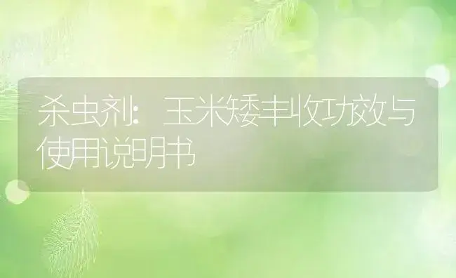 杀虫剂：玉米矮丰收 | 适用防治对象及农作物使用方法说明书 | 植物农药