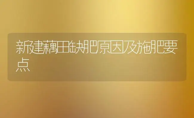 新建藕田缺肥原因及施肥要点 | 植物肥料