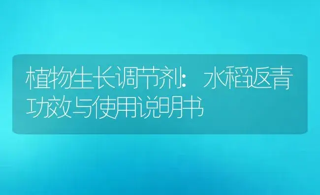 植物生长调节剂：水稻返青 | 适用防治对象及农作物使用方法说明书 | 植物农药