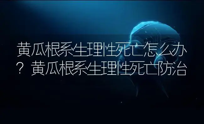 黄瓜根系生理性死亡怎么办？黄瓜根系生理性死亡防治 | 蔬菜种植