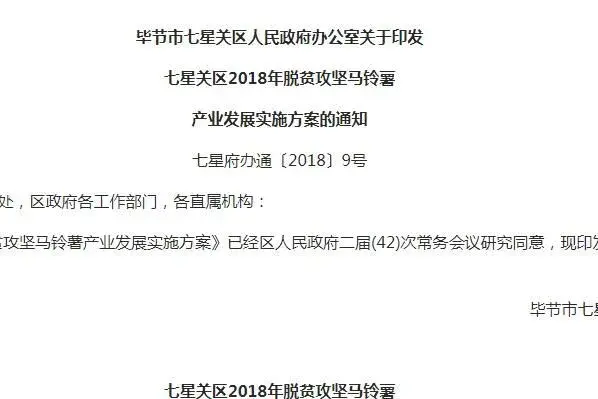 毕节市七星关区2018年脱贫攻坚马铃薯产业发展实施方案