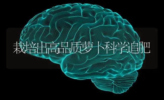 栽培出高品质萝卜科学追肥 | 蔬菜种植