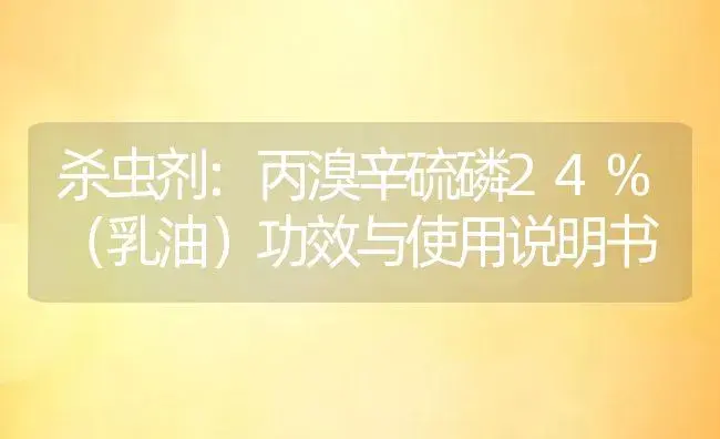 杀虫剂：丙溴辛硫磷24%（乳油） | 适用防治对象及农作物使用方法说明书 | 植物农药