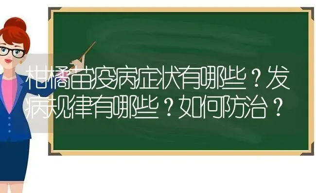 柑橘苗疫病症状有哪些？发病规律有哪些？如何防治？ | 植物病虫害