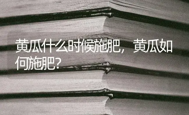 黄瓜什么时候施肥，黄瓜如何施肥？ | 蔬菜种植