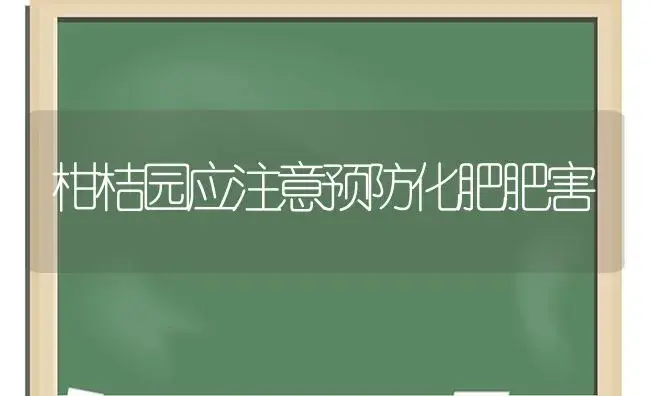 柑桔园应注意预防化肥肥害 | 植物肥料