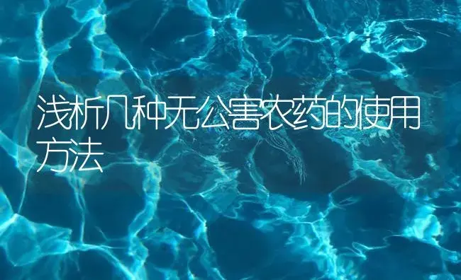 浅析几种无公害农药的使用方法 | 植物病虫害