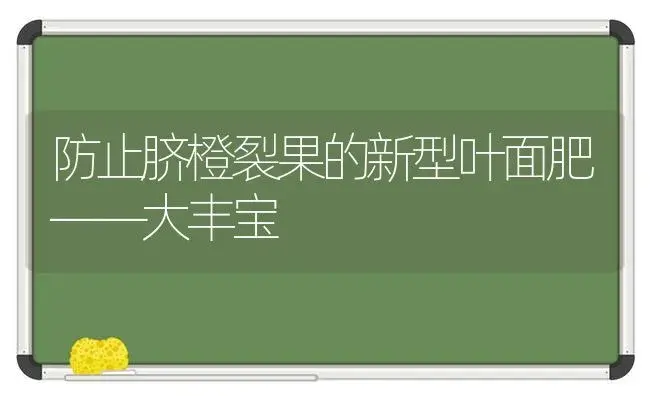 防止脐橙裂果的新型叶面肥――大丰宝 | 植物肥料