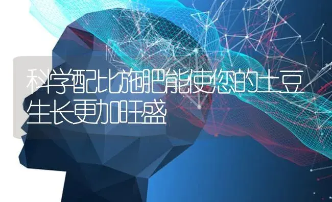 科学配比施肥能使您的土豆生长更加旺盛 | 蔬菜种植