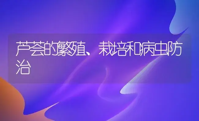 芦荟的繁殖、栽培和病虫防治 | 植物病虫害