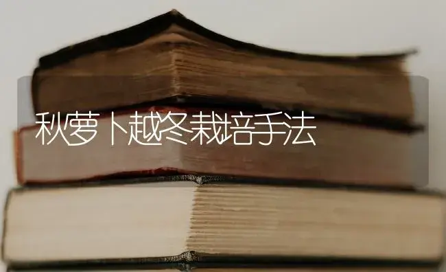 怎样防治和治疗萝卜黑腐病？ | 蔬菜种植