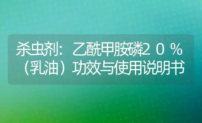 杀虫剂：乙酰甲胺磷20%（乳油） | 适用防治对象及农作物使用方法说明书 | 植物农药