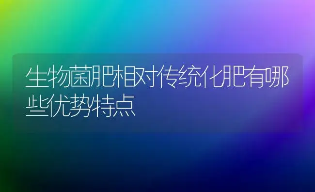 生物菌肥相对传统化肥有哪些优势特点 | 植物肥料