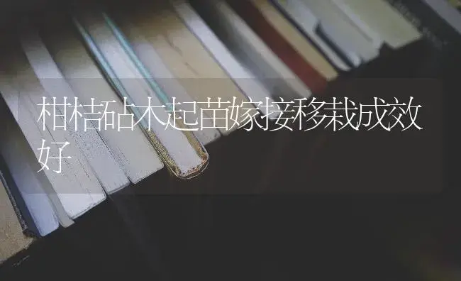 柑桔砧木起苗嫁接移栽成效好 | 蔬菜种植