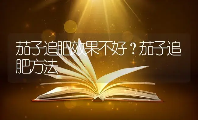 茄子追肥效果不好？茄子追肥方法 | 蔬菜种植