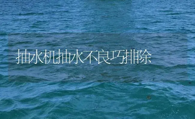 抽水机抽水不良巧排除 | 农资农机