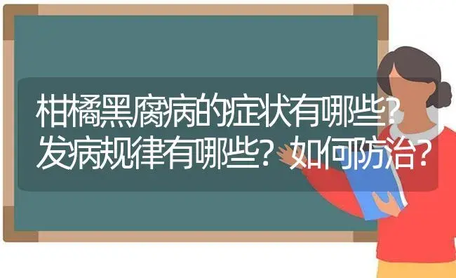 柑橘黑腐病的症状有哪些？发病规律有哪些？如何防治？ | 植物病虫害