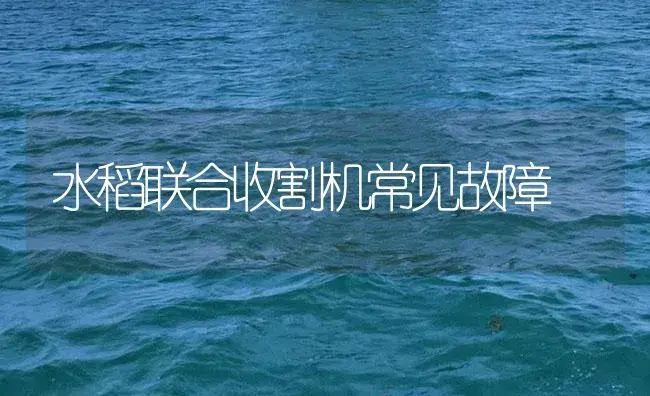 水稻联合收割机常见故障 | 农资农机