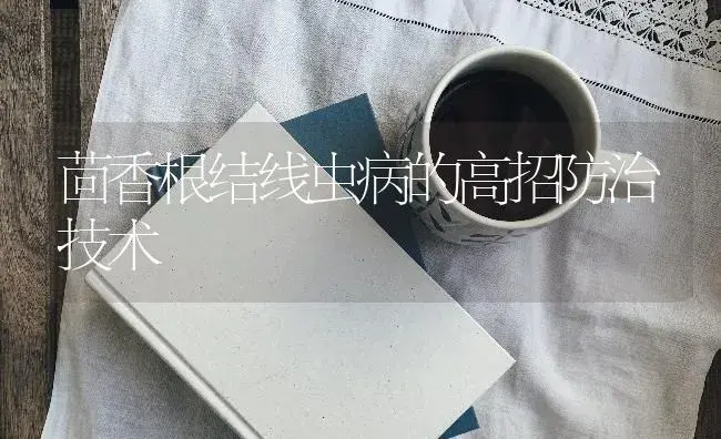 茴香根结线虫病的高招防治技术 | 蔬菜种植