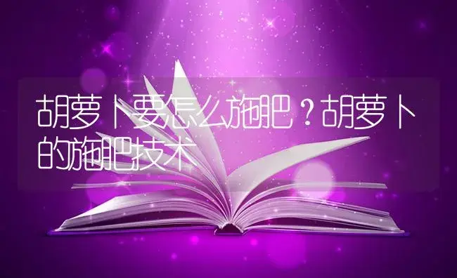 胡萝卜要怎么施肥？胡萝卜的施肥技术 | 蔬菜种植